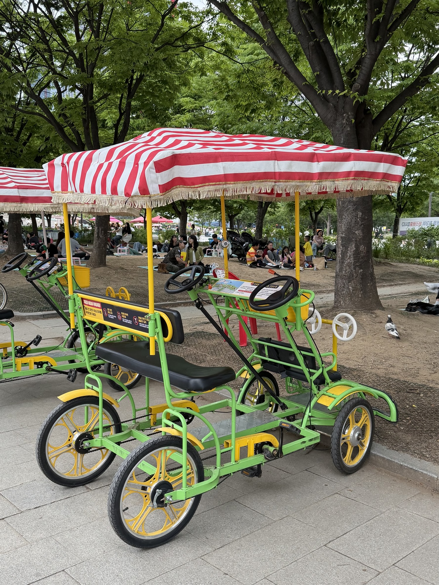 Four-person family bike at Yeouido Hangang Park, with seats and pedals on both sides