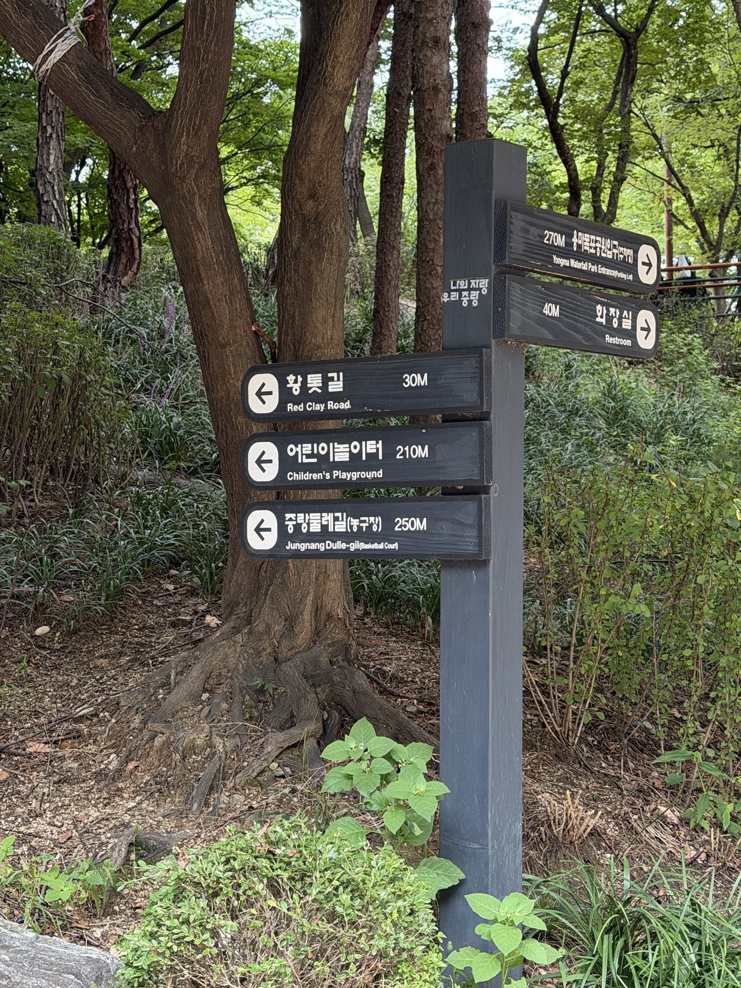 Trail start near Yongma Waterfall Park leading toward Yongmasan