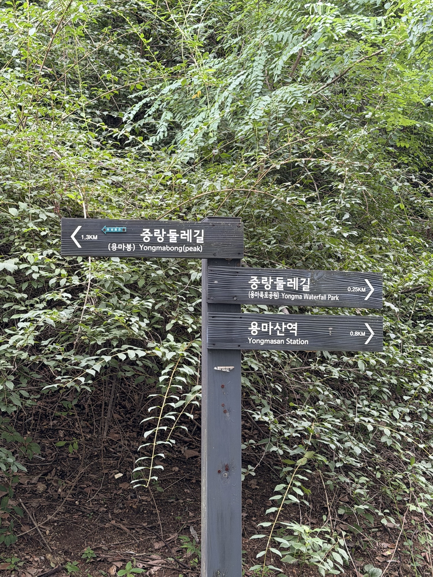 Yongmabong direction sign on the Yongmasan hiking trail