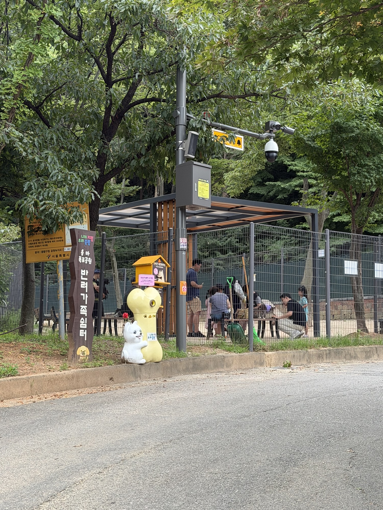 Paved section near the pet family rest area on the Yongmasan route