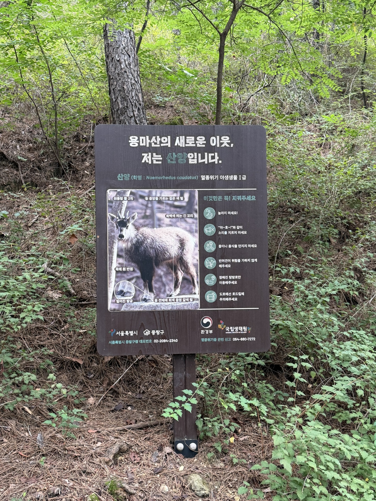 Wildlife notice sign on the Yongmasan trail