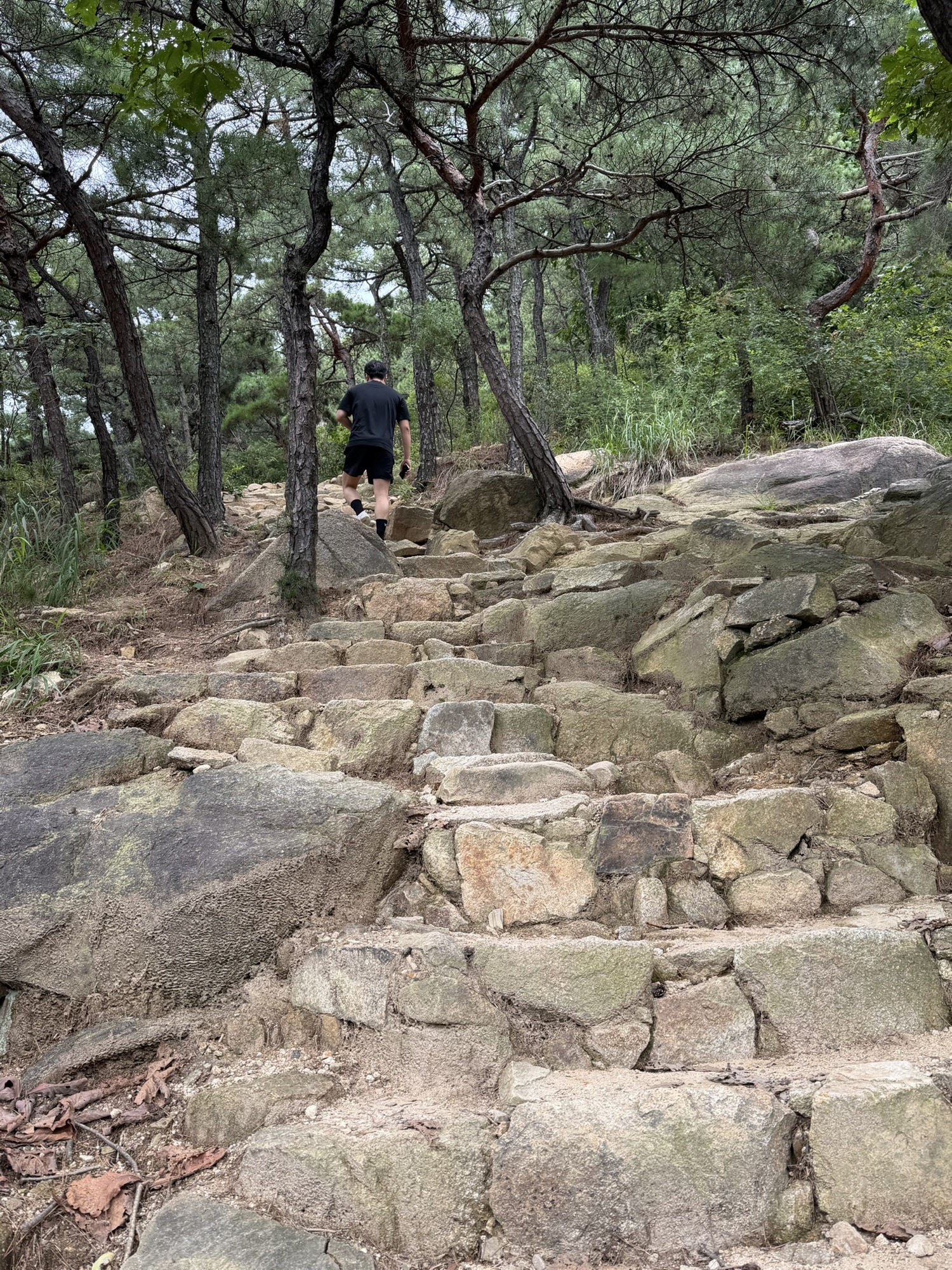Steep rocky path near the beginning of the Yongmasan hike