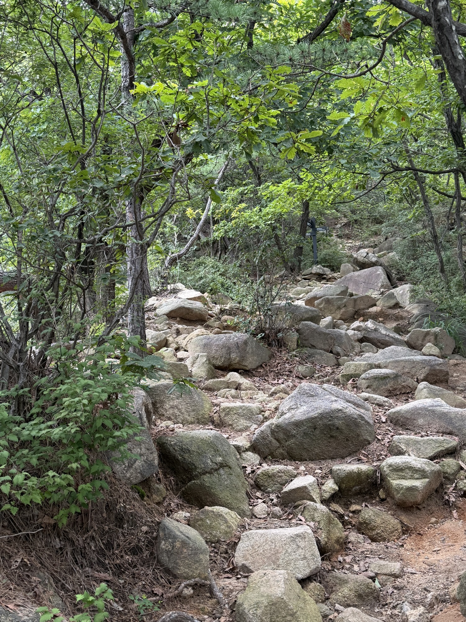 Steep trail section continuing toward Yongmabong