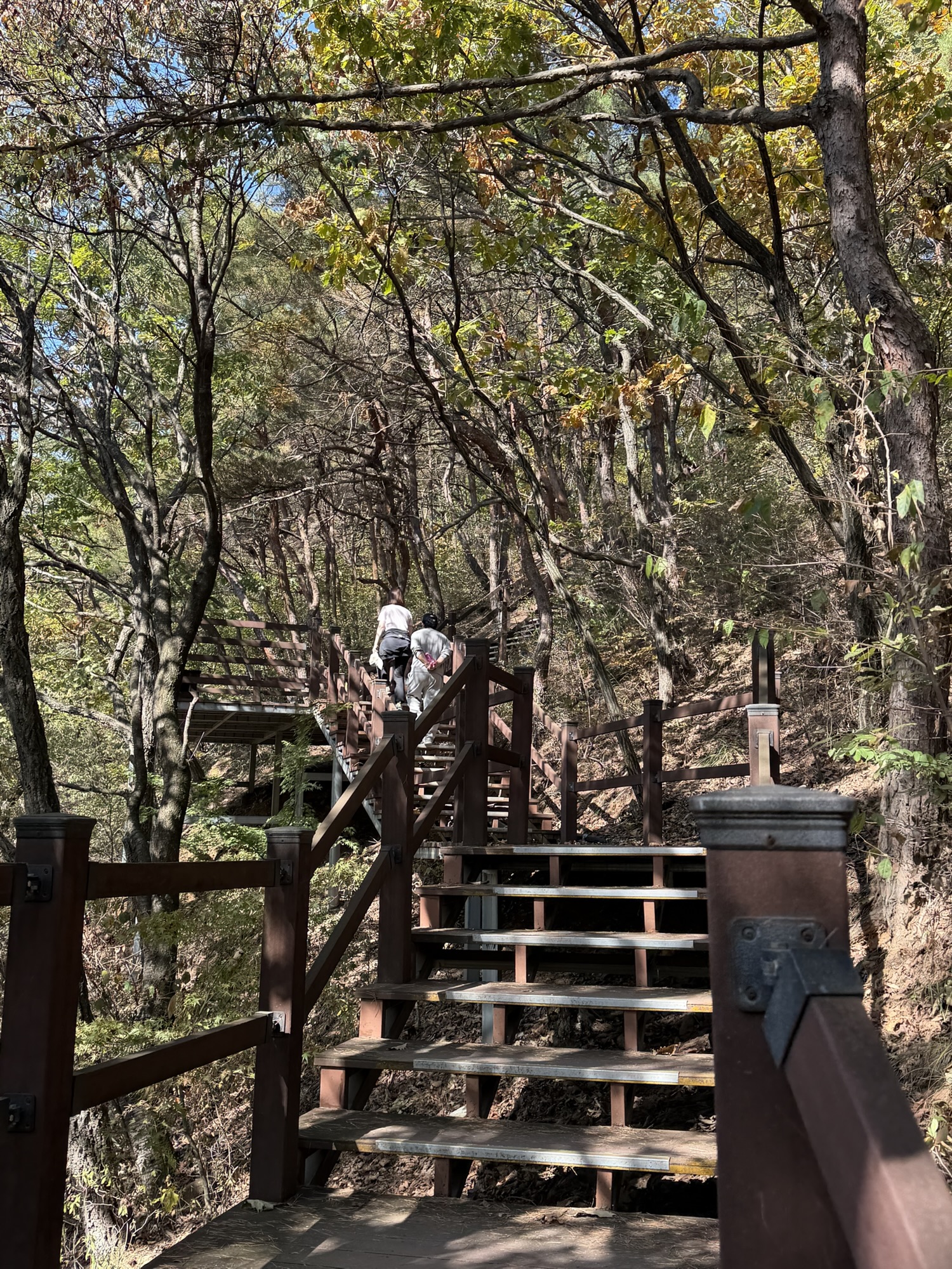 Wooden stairs on the Munsusan Course 1 hiking trail