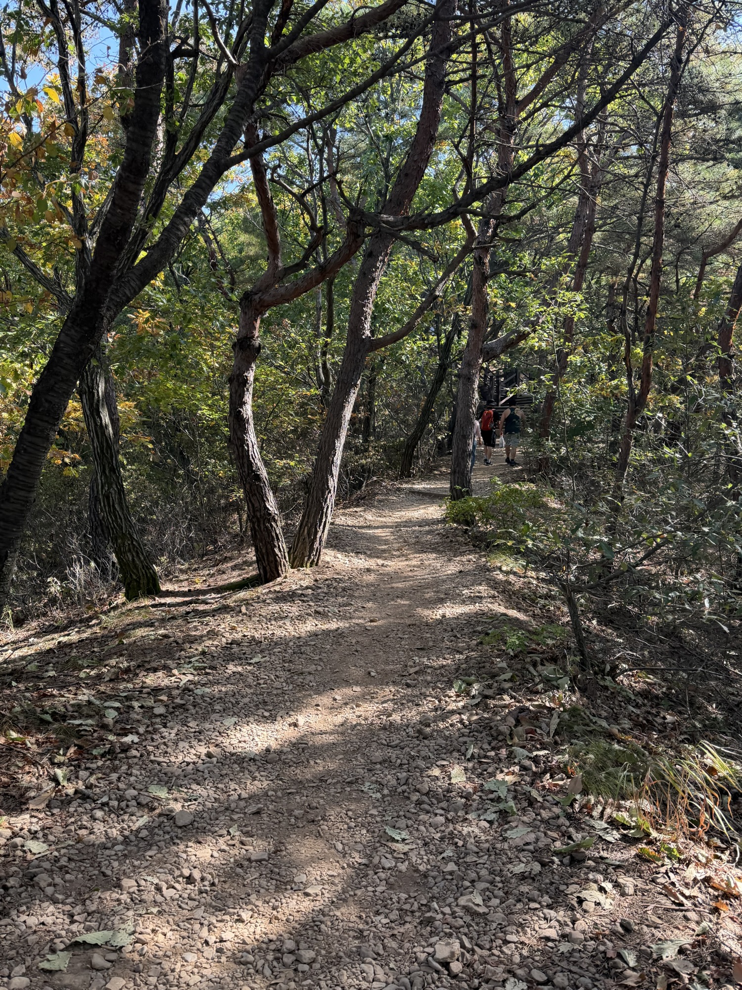 Gravel path through trees on Munsusan Course 1