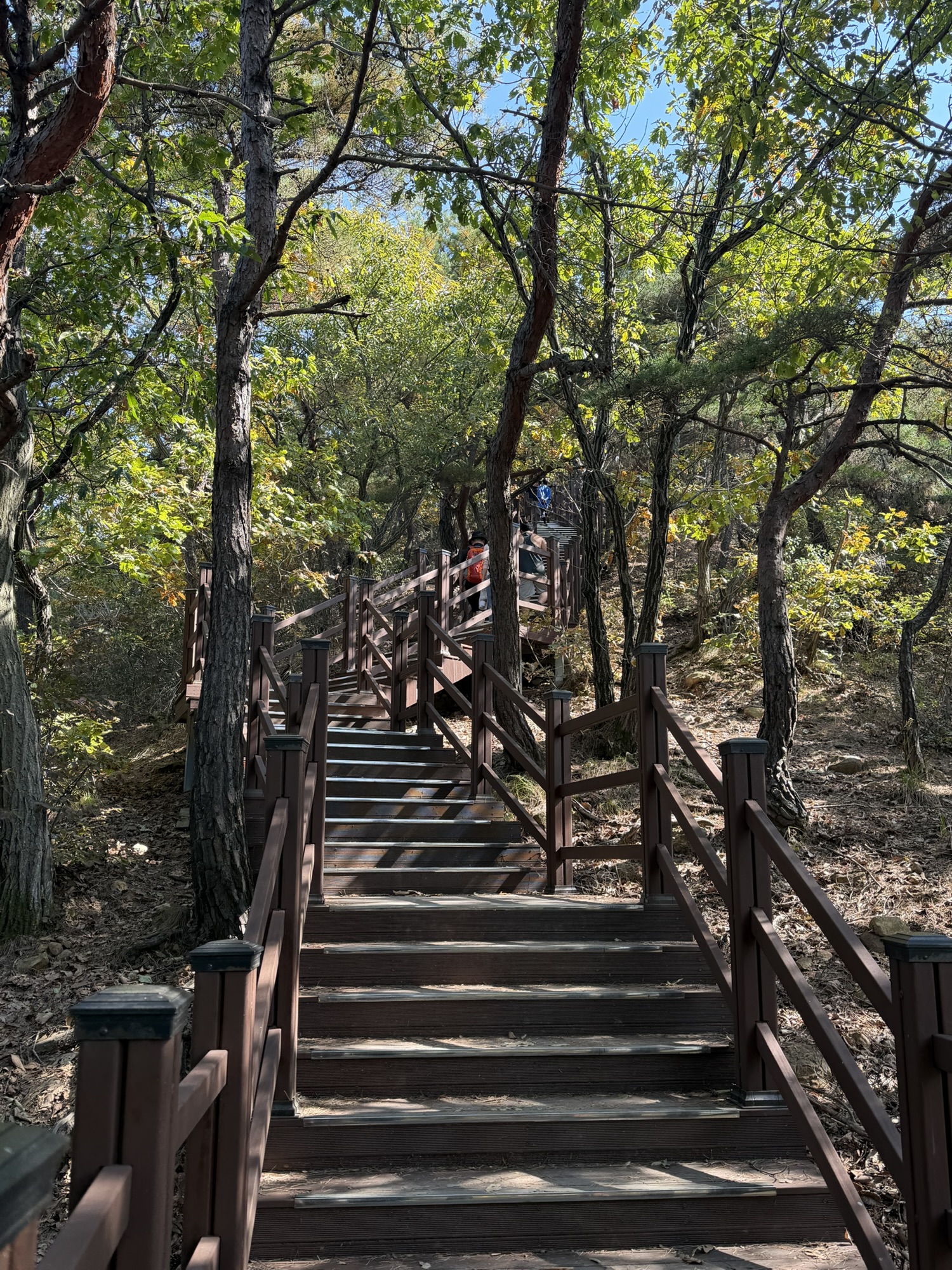 Another flight of wooden stairs on the Munsusan trail