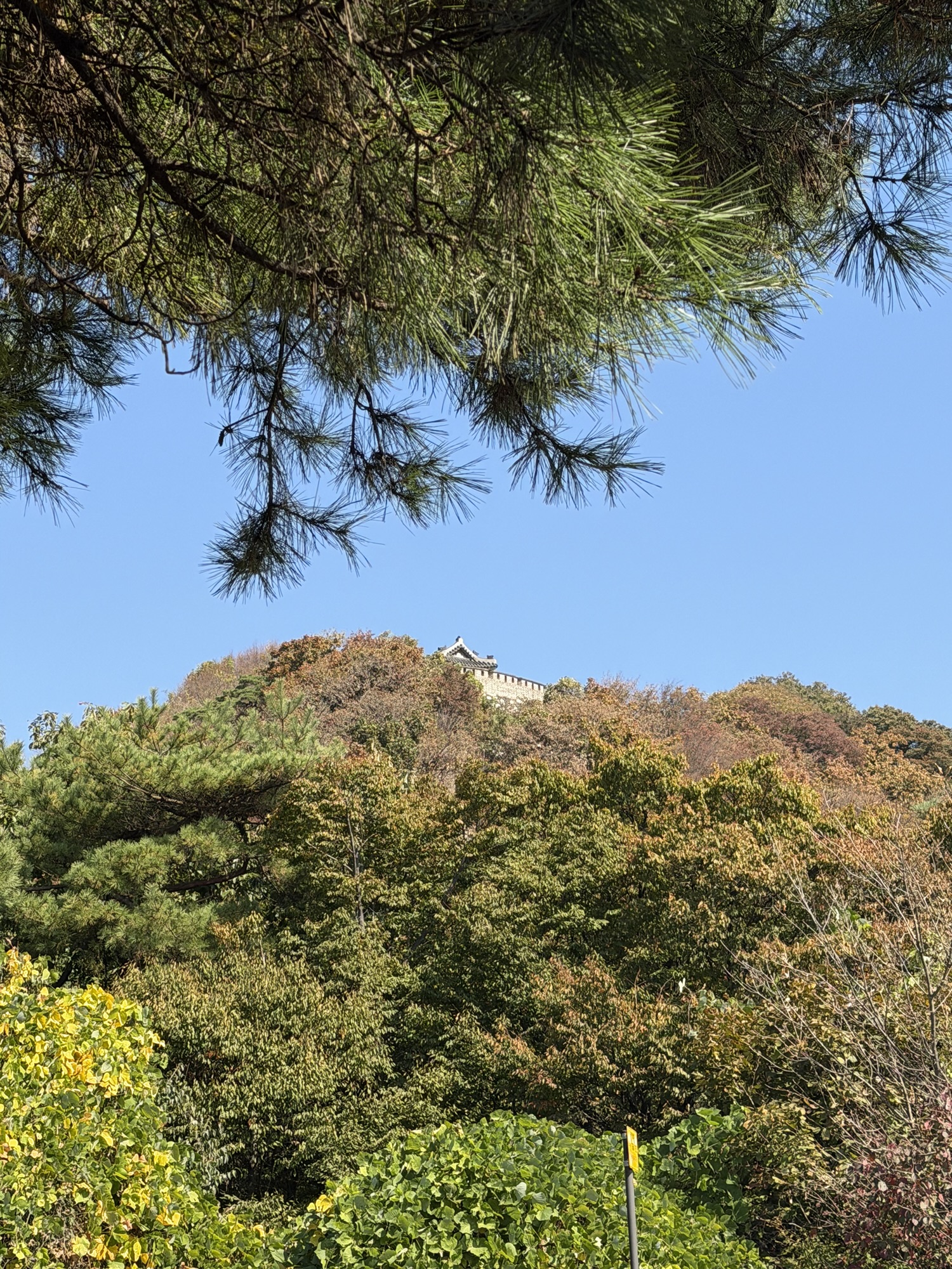 Autumn trees and summit structure ahead on Munsusan